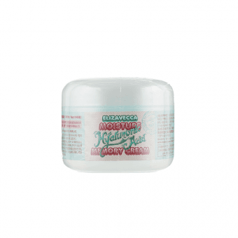 ELIZAVECCA veido kremas su hialurono rūgštimi, Moisture Hyaluronic Acid, 100 ml