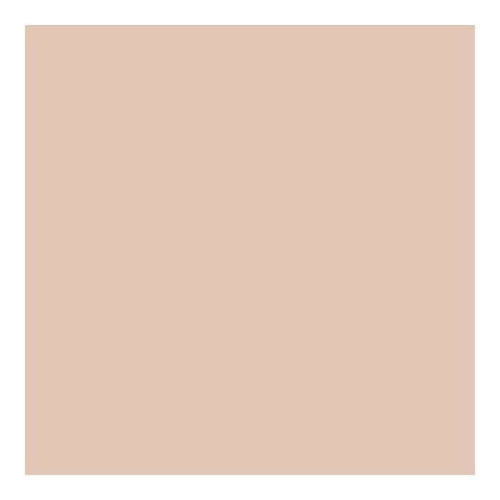 PAESE kompaktinė pudra GLOWING POWDER, spalva 12, 10 g-1