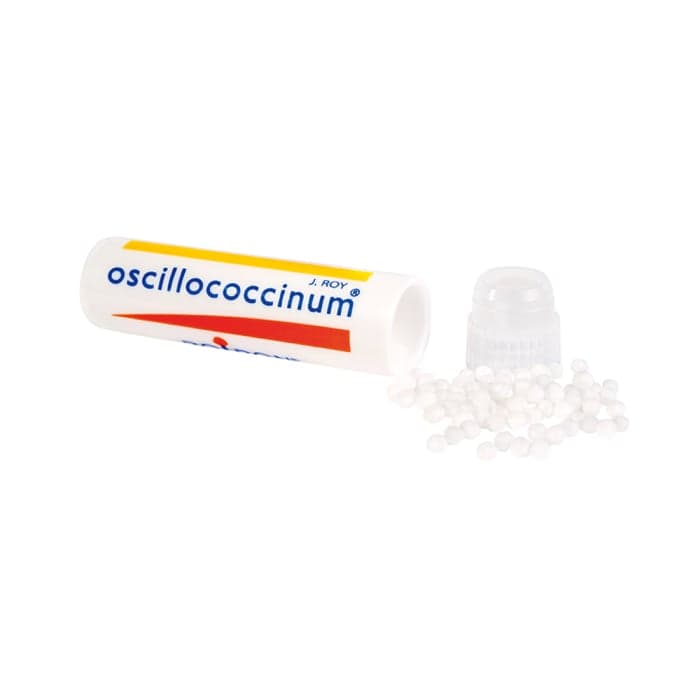 OSCILLOCOCCINUM, piliulės, vienadozė talpyklė, N6-1