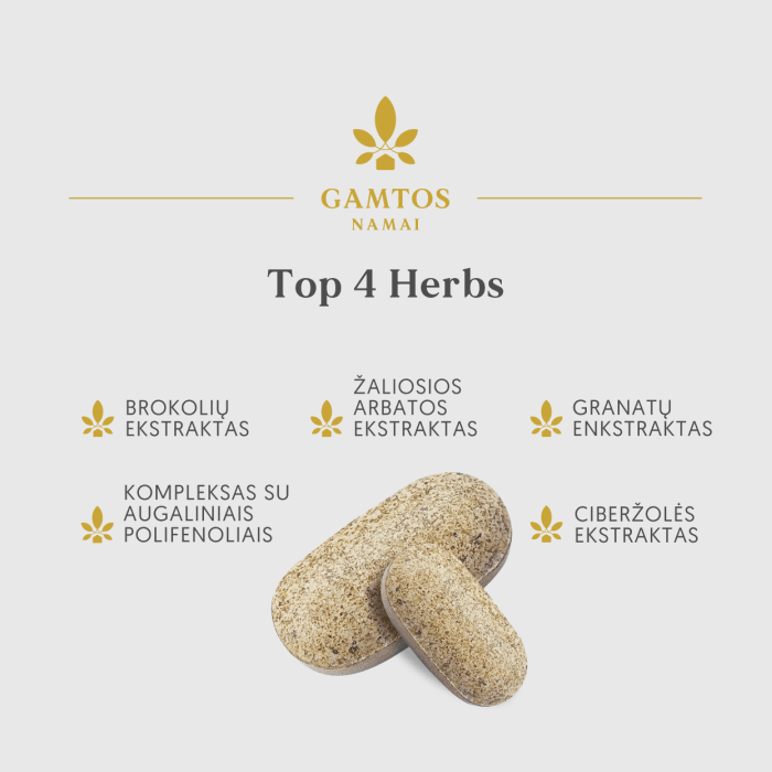 GAMTOS NAMAI TOP 4 HERBS, 30 tablečių-1
