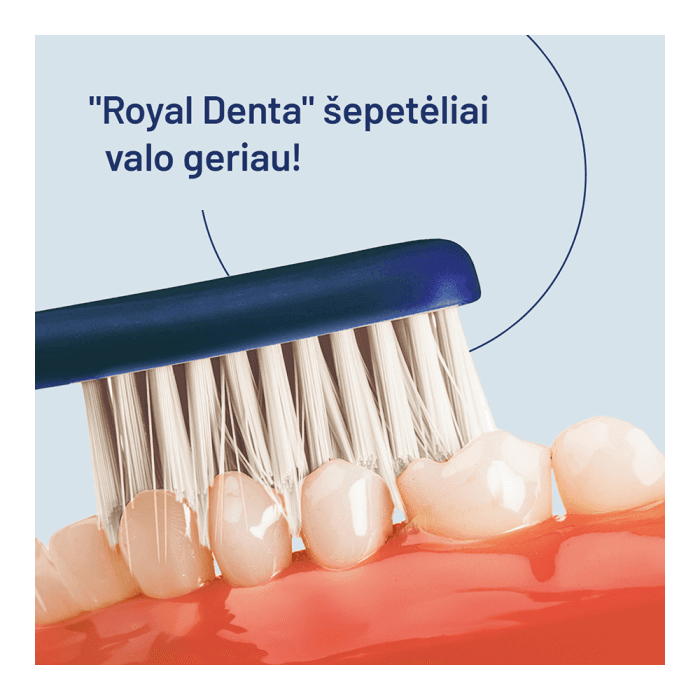 ROYAL DENTA dantų šepetėlių rinkinys SILVER SOFT MODERN, 4 vnt.-2