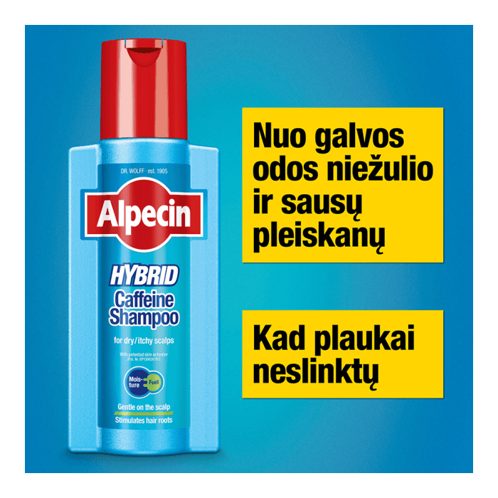 ALPECIN šampūnas su kofeinu sausai galvos odai HYBRID, 375 ml-2