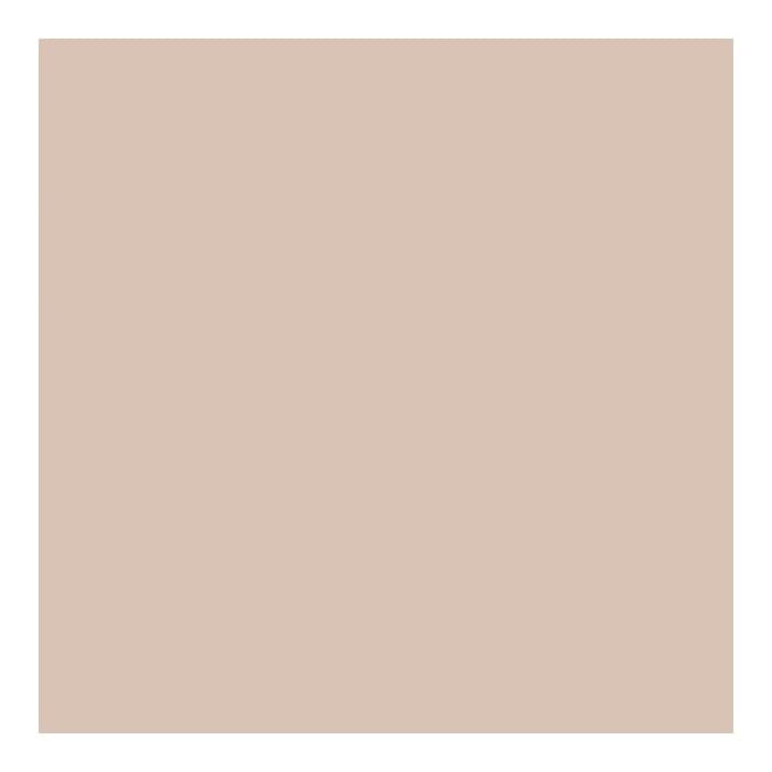 PAESE kompaktinė pudra GLOWING POWDER, spalva 11, 10 g-1