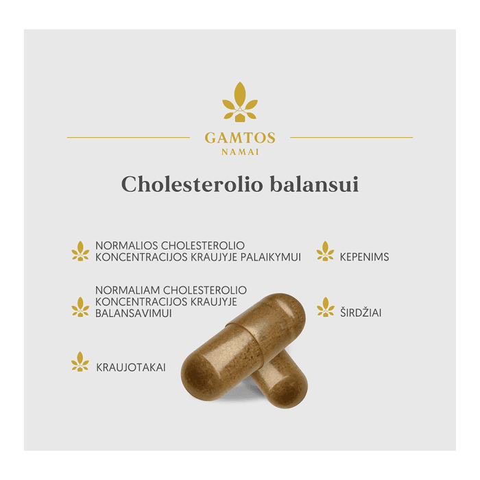 GAMTOS NAMAI cholesterolio balansui, 60 kapsulių-1