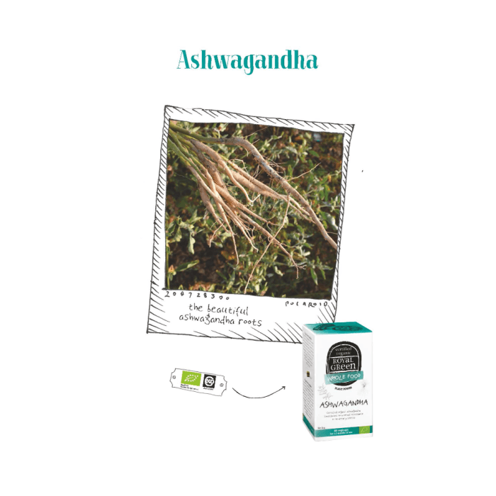 ROYAL GREEN ašvaganda BIO ASHWAGANDHA 430 MG, LT-EKO-001, 60 kapsulių-2