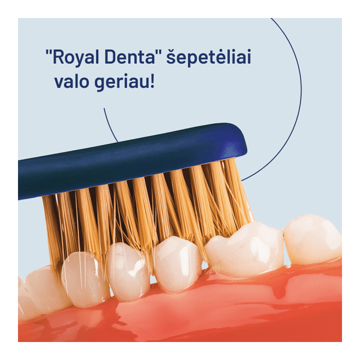 ROYAL DENTA dantų šepetėlių rinkinys GOLD MEDIUM MODERN, 4 vnt.-2