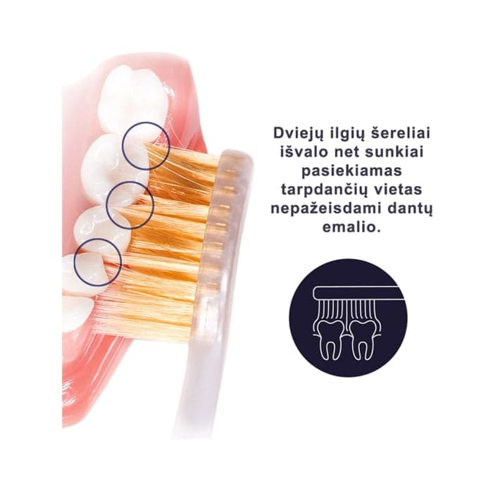 ROYAL DENTA dantų šepetėliai GOLD MEDIUM, 4 vnt.-1