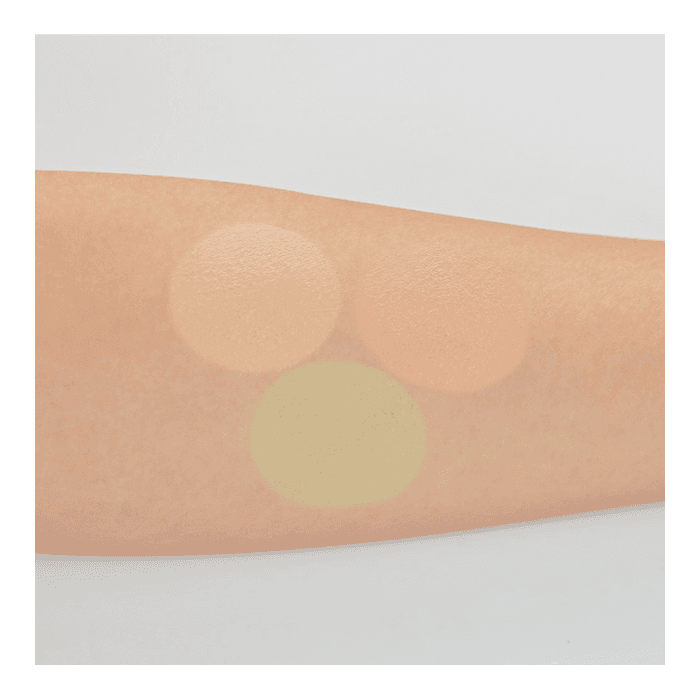 THE SAEM, maskavimo priemonė, Cover Perfection Triple Pot, 13.5 g-1