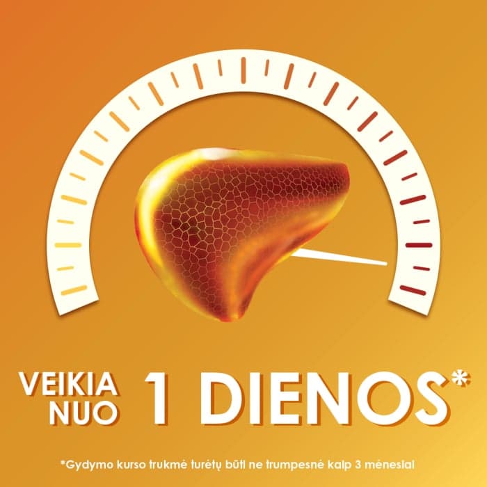 ESSENTIALE FORTE N, 300 mg, kietosios kapsulės, N30-2